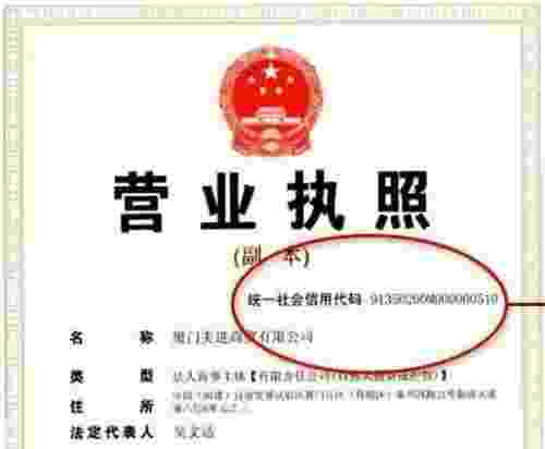 企业的纳税人识别码如何查询，报税时会用到吗？